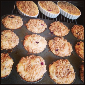 Blueberry  Muffins